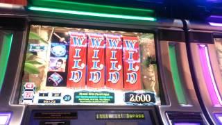 Aladdin 2c Wild Reel random bonus - BIG WIN!