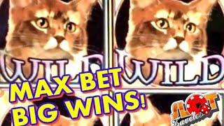 **BIG WINS** MAX BET KITTY GLITTER & DRAGONS DELIVER BIG PROGRESSIVE | SlotTraveler