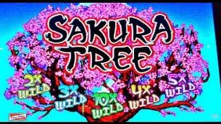 *HIGH LIMIT* SAKURA TREE - BIG WINS! - Live Play and Bonus