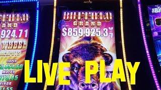 Buffalo Grand Live Play max bet $3.75 Slot Machine at The Cosmopolitan