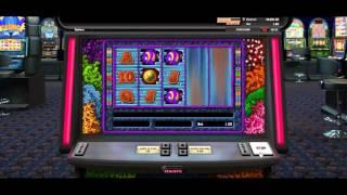 Double Your Dough• - Onlinecasinos.Best