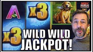 My luck is ridiculous! JACKPOT HANDPAY on WILD WILD NUGGET slot machine!
