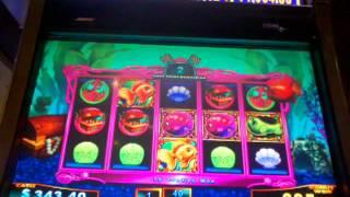 Goldfish race for the gold slot machine wms