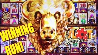 • EPIC RUN! • Buffalo Gold Wonder 4 Wonder Wheel Super Free Games & Jackpot!  • Slot Traveler