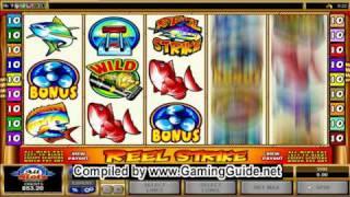 All Slots Casino Reel Strike Video Slots