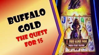 #134 - Buffalo Gold - The Quest for 15