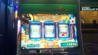 Drunken the road to emerald city WMS BIG WIN bonus round slot machine max bet