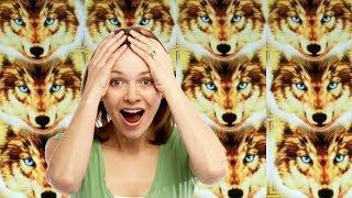 WOLVES For DAYS and a HUGE WIN on Konami * Golden Wolves | Casino Countess