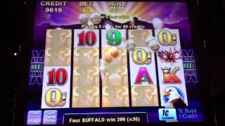 Aristocrat Buffalo Slot Win - Sands Casino - Bethlehem, PA