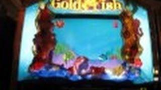 Goldfish Slot Machine Bonus-Max Bet-Palazzo