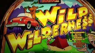 Wild Wilderness Slot Machine ~ 2 PICKING BONUSES ~ SILLY BEAR GOT CAUGHT! • DJ BIZICK'S SLOT CHANNEL
