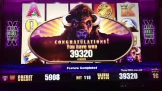 BUFFALO Slot machine (3 Big Wins in 30 minutes)