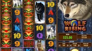 IGT Wolf Rising Video Slot General Spins And Wins