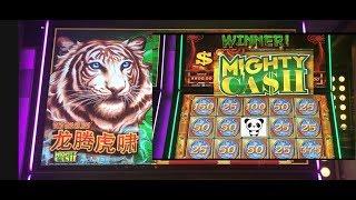 I’m so glad I didn’t leave•️Awesome bonuses on Mighty Cash slot