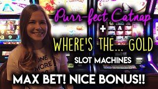 Wheres The Gold? Nice BONUS! Max Bet Purr-fect Catnap Slot Machine!