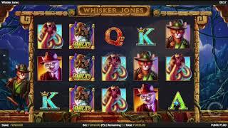 Whisker Jones slot by 1X2gaming