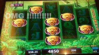 •Prowling Panther Slot machine• 56 Free games vs 8 Free games •BIG WIN BONUS•$2.50 Bet