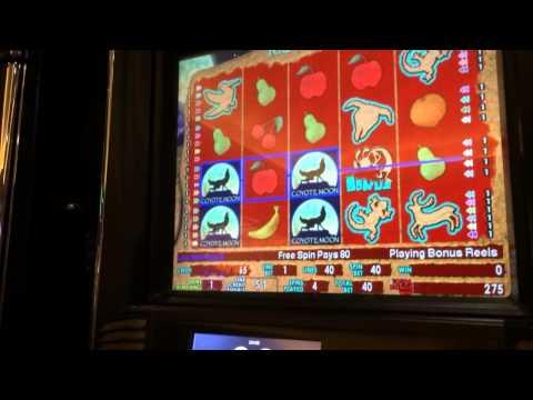 Coyote moon high limit slots small win