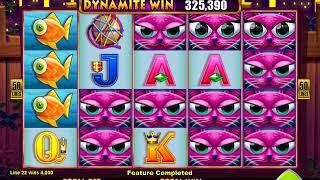 MISS KITTY GOLD Video Slot Casino Game with a RESPIN BONUS