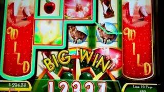 Ruby Slippers Slot Wins!!: (3 Videos)