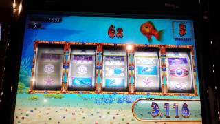 Gold Fish Slot Machine Free Spin.