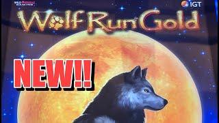 NEW SLOT: WOLF RUN GOLD + WALKING DEAD BIG WIN