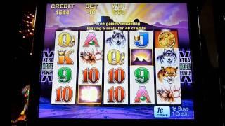Buffalo Slot Machine Bonus Win (queenslots)