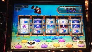 Goldfish II Slot Machine Bonus - Clown Fish