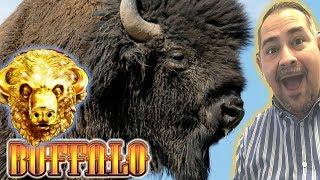 • BUFFALO GOLD LIVE • Max Bet Slot Play | Join Our Community!