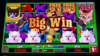 Kitty Riches slot machine- Cutest game ever! LOL