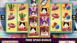 GRUMPY CAT Video Slot Casino game with a GRUMPY CAT FREE SPIN BONUS