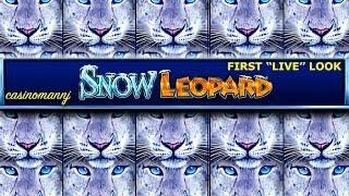 NEW SLOT! - Snow Leopard Slot Bonus - First "LIVE" Look - Slot Machine Bonus