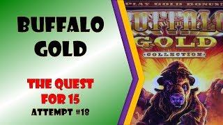 The Quest for 15 - Buffalo Gold Attempt #18