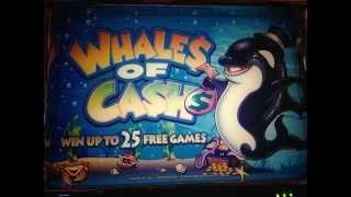 •Whales of Cash Slot machine Lover •MY ONE MONTH STORY• 5￠Slot $2.50 Bet