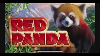Red Panda - Now On Play.SanManuel.com