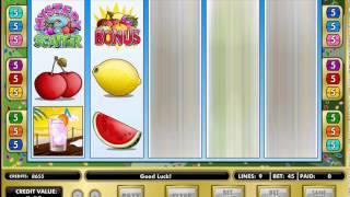 Fruit Party slot
