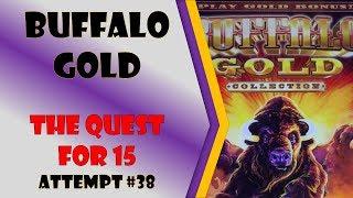 The Quest for 15 - Buffalo Gold Attempt #38