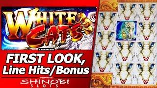 White Cats Slot - First Look, with Live Play, Nice Line Hits and 4 Free Spins Bonuses