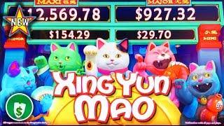 •️ New - Xing Yun Mao WA VLT slot machine, bonus