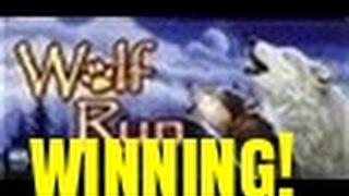 WINNING AT WOLF RUN SLOT MACHINE-BONUS