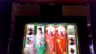 The Wizard Of OZ. Slot Matchine. Ruby Slippers Bonus.
