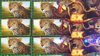 INSANE WIN on BIG 5 Safari Slot Machine!  OMG I Got the 5X All the Way! | Casino Countess