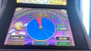 Pure Pot all in gamble 2013 ladbrooks