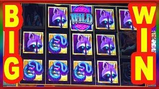 ** BIG WIN ON NEW GAME SHADOW FOX DREAM CATCHER ** SLOT LOVER **