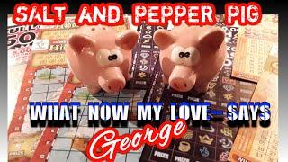 •Scratchcard George•.and the..SALT and  PEPPER  PIGS..Band....•mmmmmmMMM•