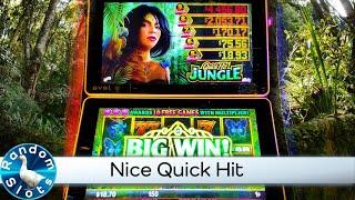Quick Hit Jungle Slot Machine Nice Quick Hit