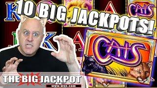 •10 BIG Jackpots on Cats •5 Free Games BONU$ WIN! •| The Big Jackpot