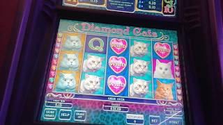 •Diamond•Cats Slot•Machine...and•Red•Chilly•Game
