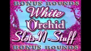 White Orchids Bonus Rounds High Limit Slot Jackpots • Slots N-Stuff