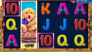 CUTE PUPPIES Video Slot Casino Game with a FREE SPIN BONUS